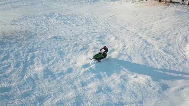 Snowmobile Arctic Cat Sno Pro 120 with Briggs LO206 Animal смотреть онлайн