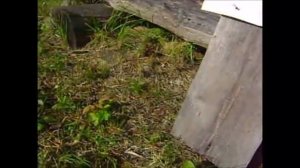 Ружьё Иж 94 Север 5,6+20