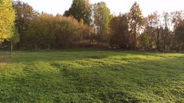 Вокруг стен дома прадеда снова чисто – поработал ударно смотреть онлайн