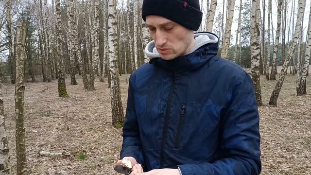 Прогулка в поисках грибов. Нашли строчки, чагу и трутовик. Разговоры о грибах и их пользе. смотреть онлайн