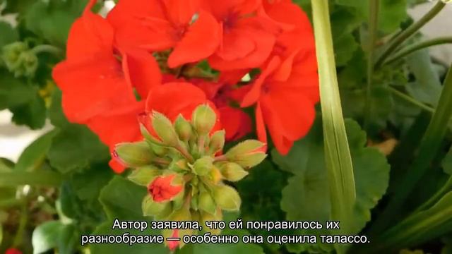 Россиянка отдохнула в Тунисе и описала страну словами «невероятно похож на Дубай»