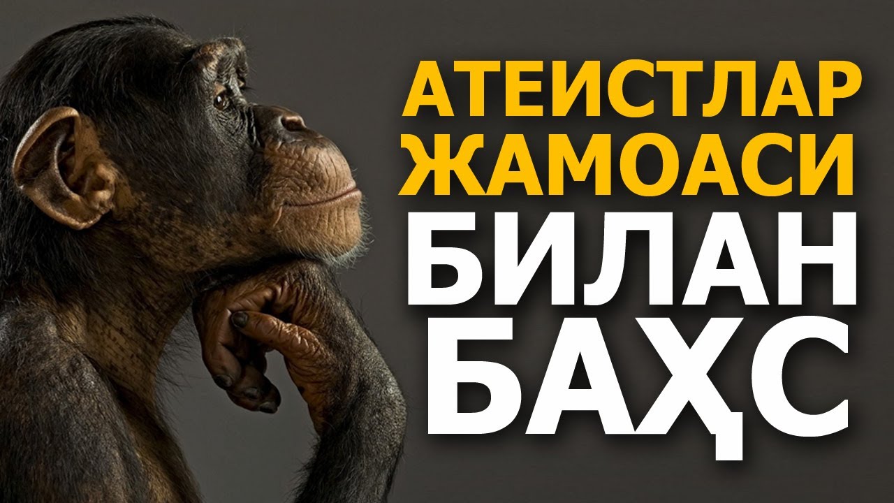 АТЕИСТЛАР ЖАМОАСИ БИЛАН ЖОНЛИ БАҲС - АБРОР МУХТОР АЛИЙ #абрормухторалий #бахс #раддия #атеист #ислом смотреть онлайн