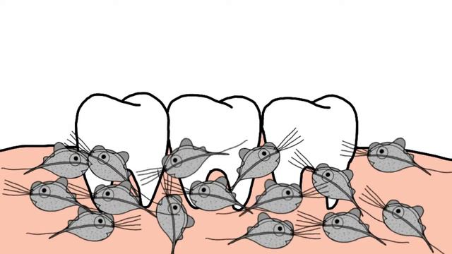 Trichomonas tenax 10.0 || Tricomoniasis || Parasitología || Flagelados смотреть онлайн