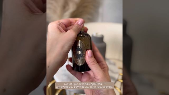 С первой секунды влюбляет в себя • Antigua Phaedon смотреть онлайн