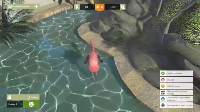 Crimson flamingo gameplay - zoo tycoon polish language | irritating irritator смотреть онлайн
