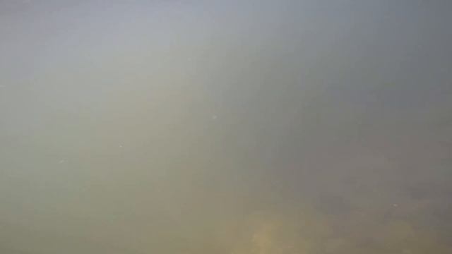 Удачной охоты/A good spearfishing смотреть онлайн
