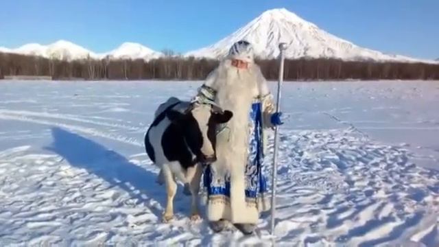 Поздравление от Деда МОРОЗА С 2021 ГОДОМ #новыйгод#2021#дедмороз смотреть онлайн
