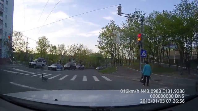 Кот-пешеход смотреть онлайн