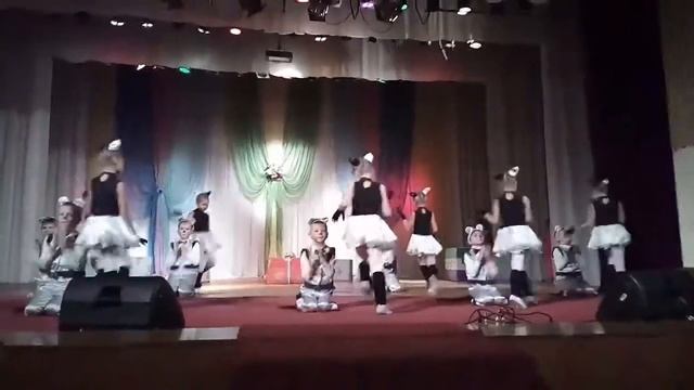 Танец котят смотреть онлайн