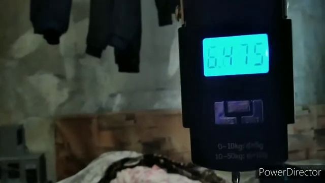 Нефтекамск повседневные будни с мд4030п нашол манету 2 копейки 1974года смотреть онлайн