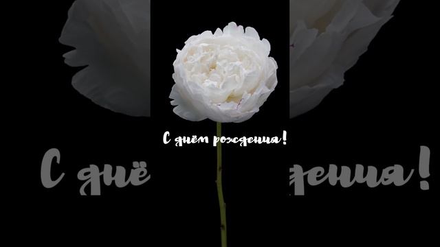 Красивое музыкальное поздравление с днем рождения женщине | #SunPik.Ru смотреть онлайн