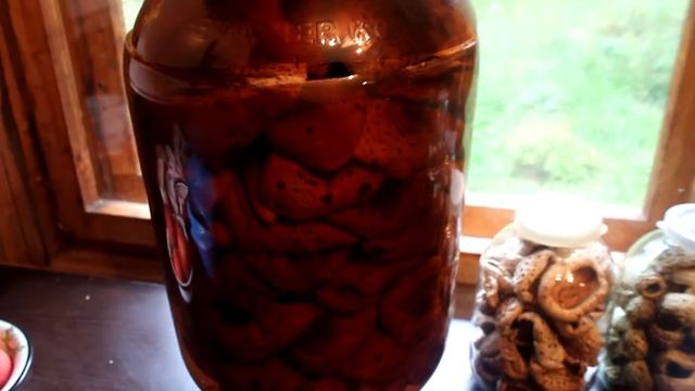 Идея для хранения грибов! Кег из-под пива. смотреть онлайн