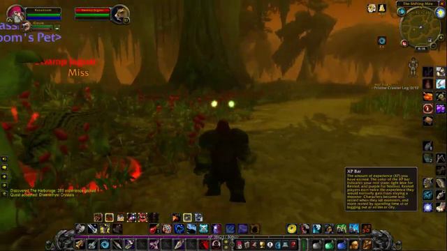 WoW classic, Dwarf hunter level-up. смотреть онлайн