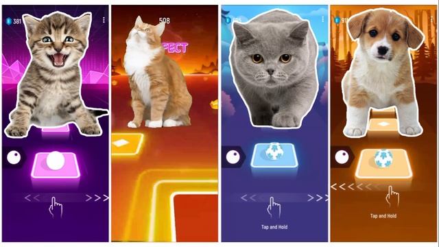 CUTE CAT DAVID GUETTA BEBE REXHA CUTE CAT AQUA BARBIE GIRL CUTE CAT THUNDER CUTE DOG MAROON 5 SUGAR