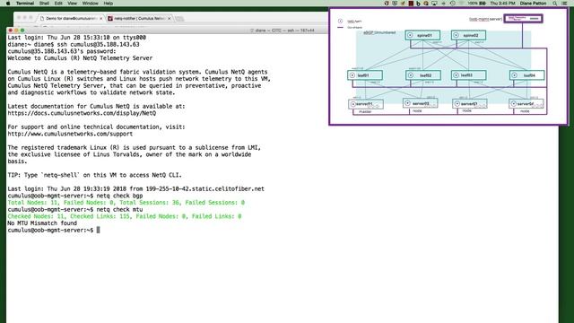 NetQ with Kubernetes overview and demonstration смотреть онлайн
