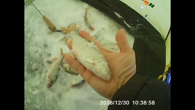 Рыбалка Карповское вдхр 30 декабря 2018г смотреть онлайн