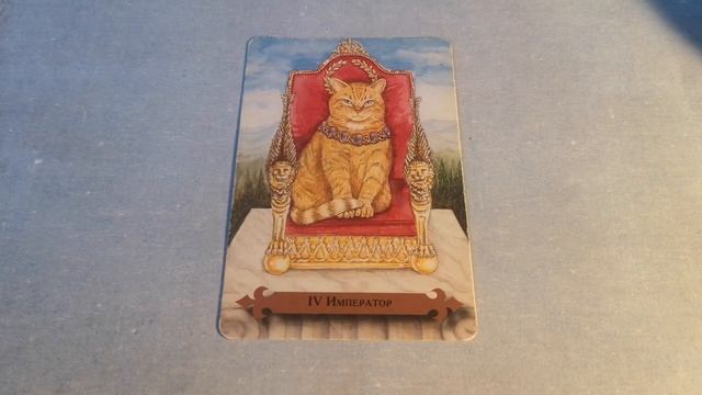 ДОБРО ПОЖАЛОВАТЬ В КЛУБ "ЛИСЬЯ НОРА" ЗА КОПЕЙКИ! смотреть онлайн