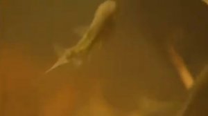 Дикий мир будущего - 1