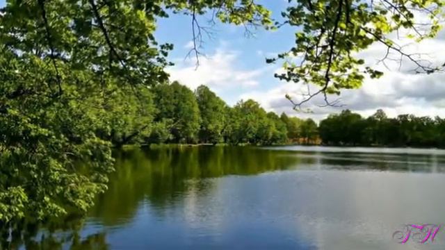 А ГДЕ ТО ГУЛЯЕТ РАДОСТЬ смотреть онлайн