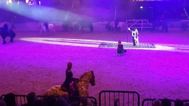 Purple Rain Doma Clasica Nordpferd 2019 смотреть онлайн