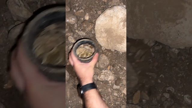 I found treasure chest full of very mysterious gold coins смотреть онлайн