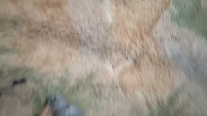 Как разобрать личинку замка капота форд фокус 2