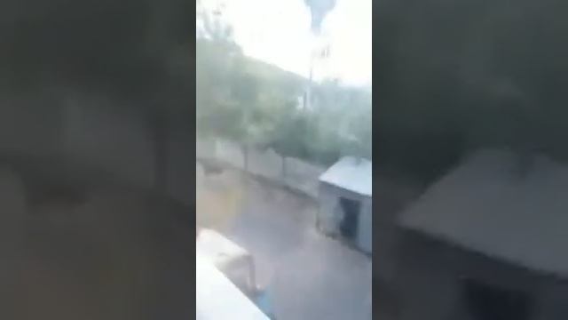 Лось на дружбе. Мытищи XL смотреть онлайн