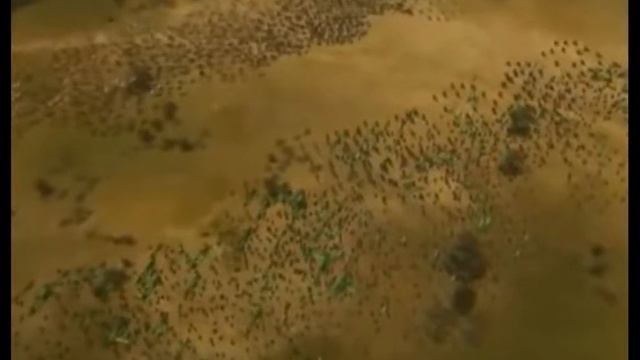 Crusader Thy Kingdom Come - trailer смотреть онлайн