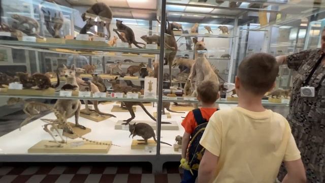 Настоящий мамонт и Синий кит! Зоологический музей в Санкт-Петербурге. Удивительные находки. смотреть онлайн