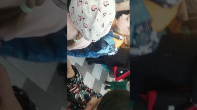 Выставка пауков смотреть онлайн