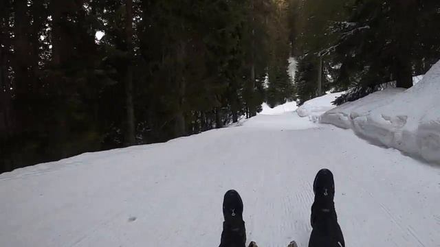 Schlitteln Lenzerheide