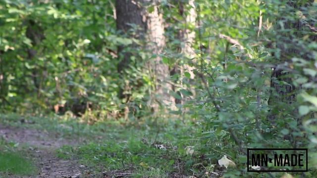 Best Squirrel Call In Action - Play This To Bring Them In Close смотреть онлайн