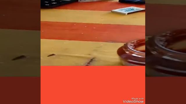 как жить в магнитном поле смотреть онлайн