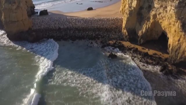 Ложь историков. Биоробот ты или человек, вот в чем вопрос | Сон Разума смотреть онлайн