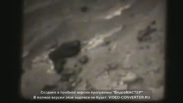 Как мы бивень мамонта искали смотреть онлайн