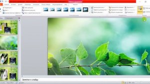 Как сделать сразу много картинок в PowerPoint