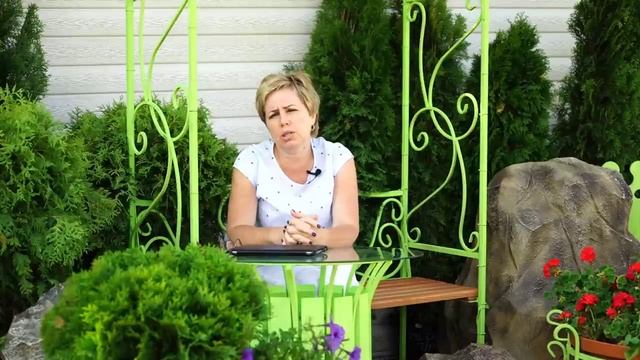 Работы в саду в августе ✔️ Огород