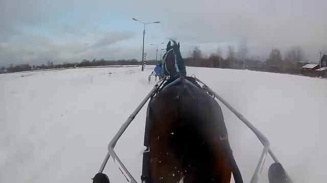 Бонапартистка Кулешова Гит 2 30 01 2021 смотреть онлайн