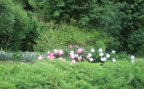 Оптина пустынь, Шамордино. Монастырь, храм, церковь