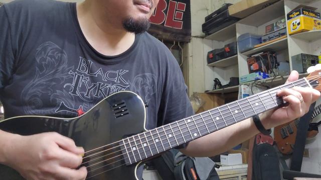 Stagg James Neligan EW3000CBK смотреть онлайн