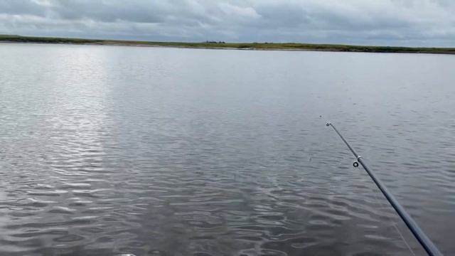 Рыбалка. Окунь в аквариуме. «Трофейный» окунь. смотреть онлайн