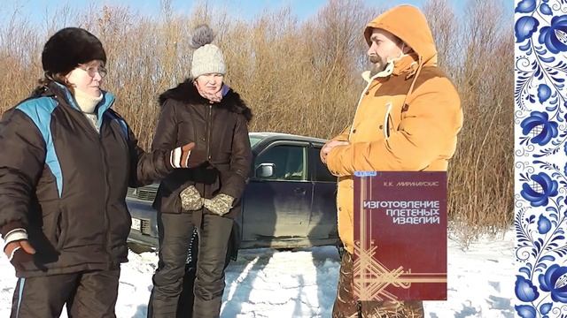 Лозоплетение Сбор ивового прута Часть 1 смотреть онлайн