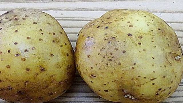 Кухня Мамашки