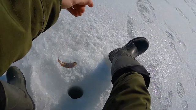 Рыбалка на жерлицы в конце марта! Сказочная погода=). смотреть онлайн