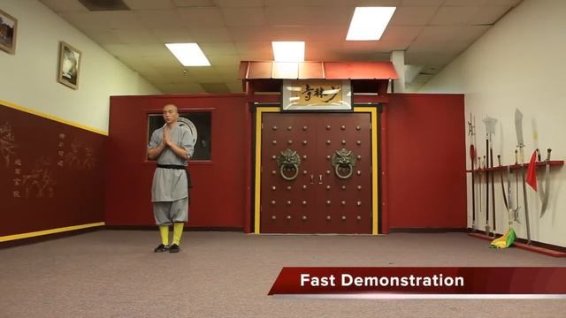 Kung Fu Tutorial 3 : Qi Xing Quan 少林七星拳 : Wushu Shaolin Online Study