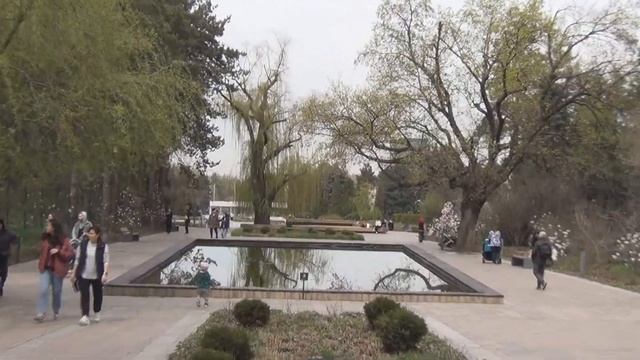 Алматы, Ботанический сад. Прогулка по Ботаническому саду города Алматы. смотреть онлайн