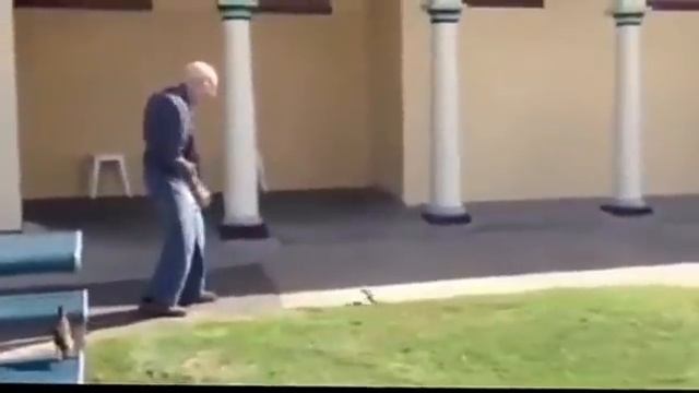 Дед и змея смотреть онлайн