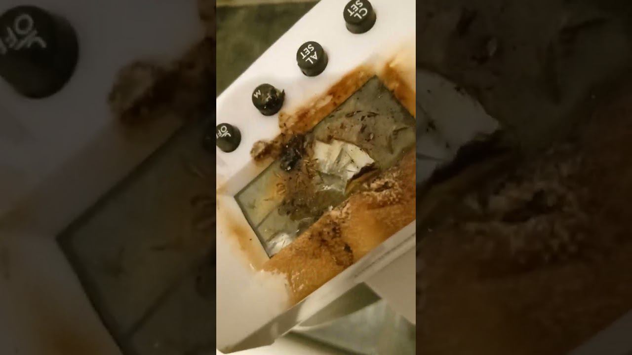 ломаю сломанный будильник ч3 смотреть онлайн