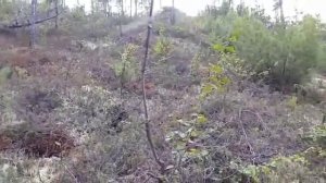 Газ-71 без тормозов с горы