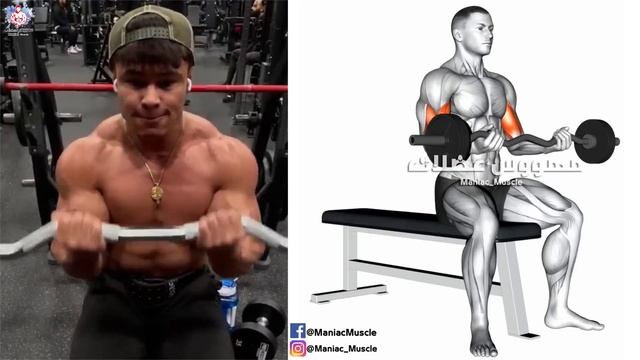 BARBELL ARM WORKOUT (WRIST - BICEPS - TRICEPS) GYM AND HOME смотреть онлайн